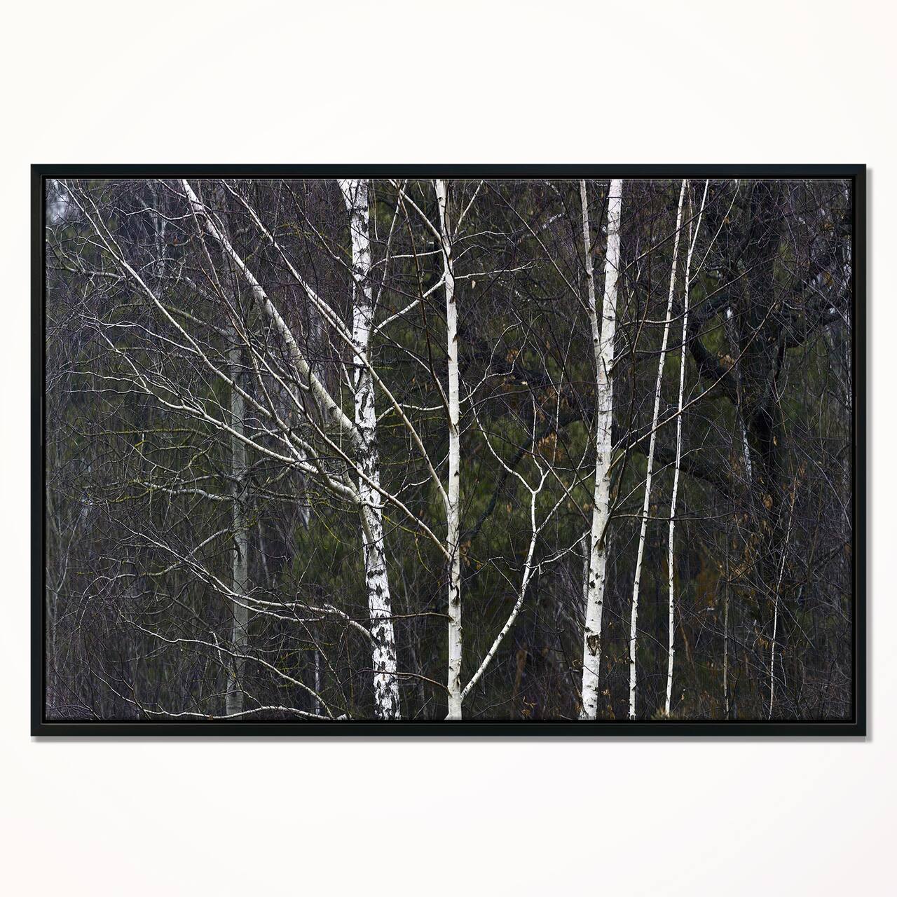 Designart - Black and White Birch Forest - Abstract Wall Art Canvas in Black Frame